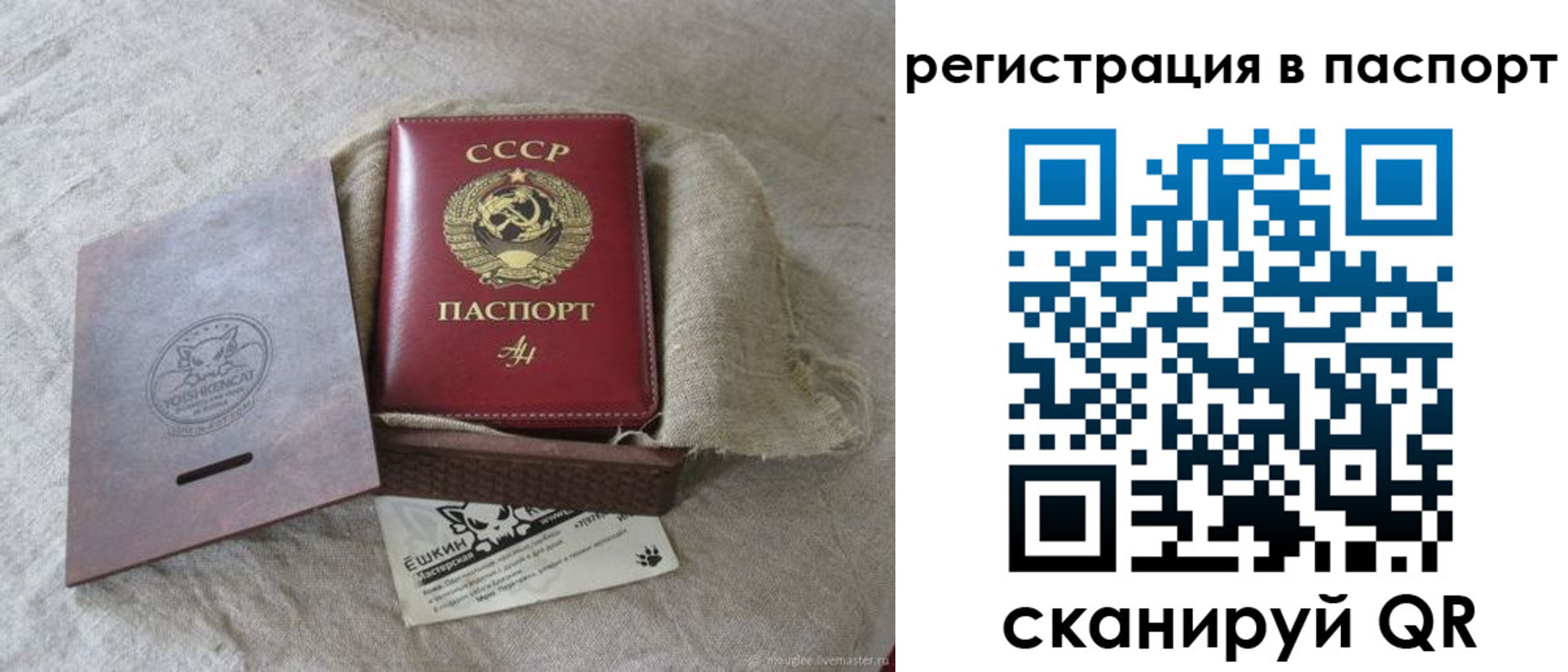 где прописаться в Кингисеппе