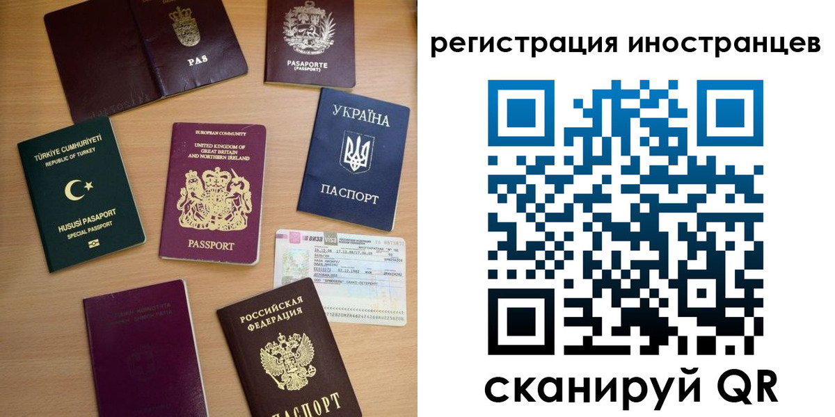 прописка регистрация в Кингисеппе